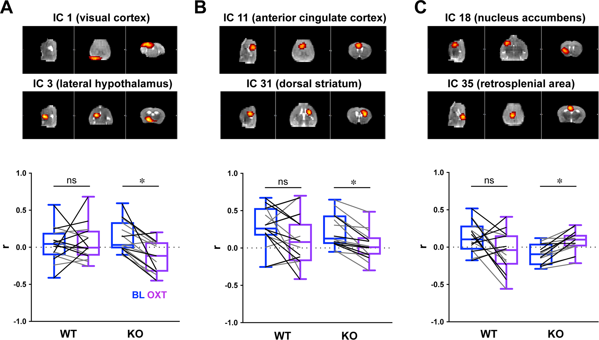 Fig. 2: