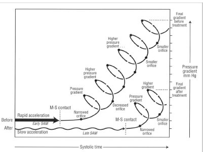 Fig. (5)