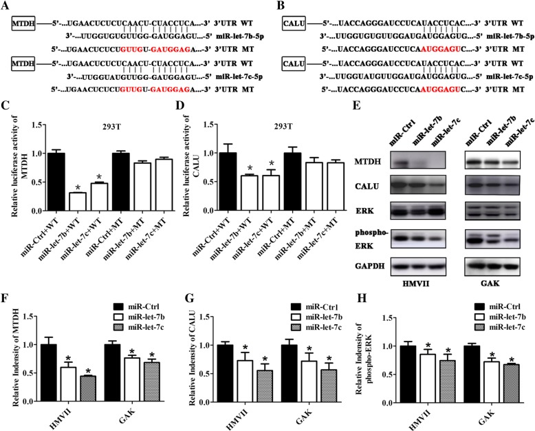 miR-let-7b and miR-let-7c suppress tumourigenesis of human mucosal ...