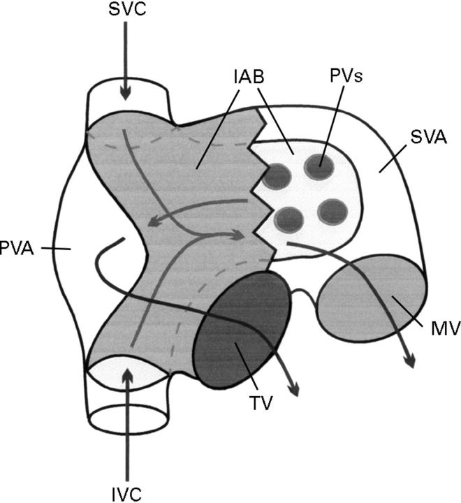 Figure 31  