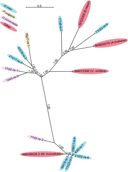 Figure 5.