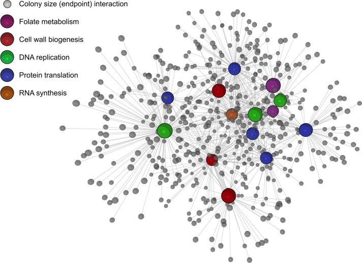 FIGURE 6: