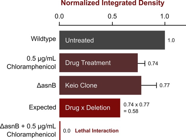 FIGURE 3: