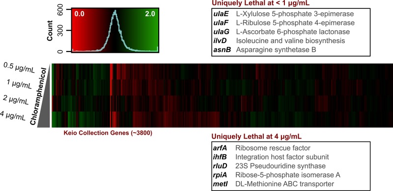 FIGURE 4: