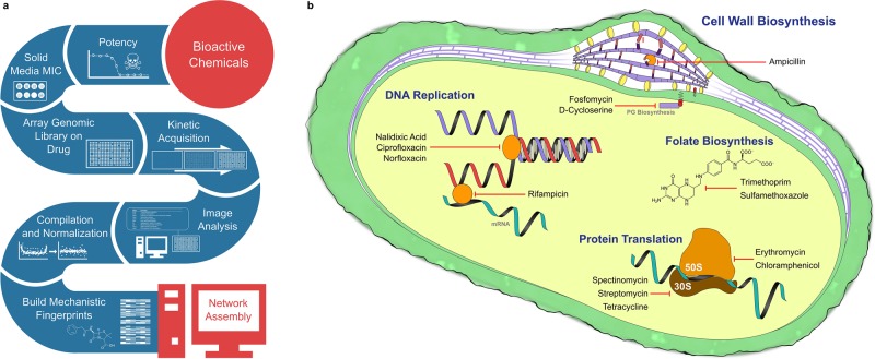 FIGURE 1: