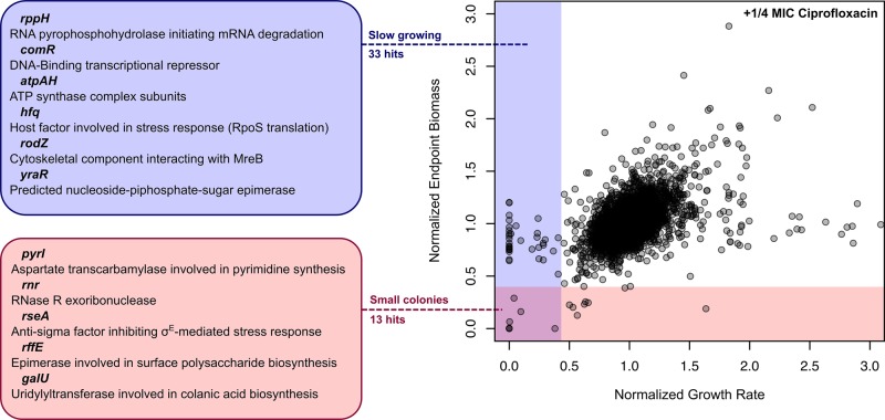 FIGURE 5: