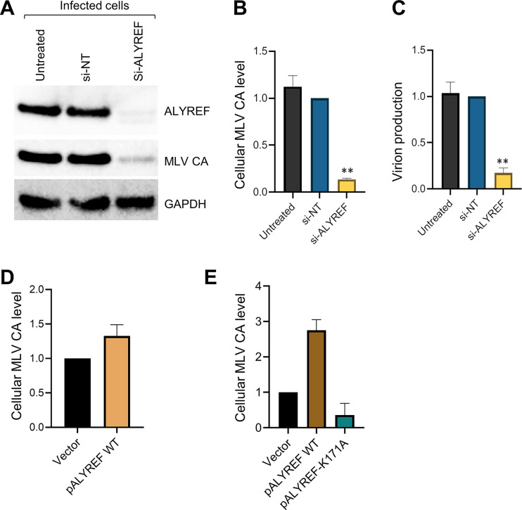 FIG 6