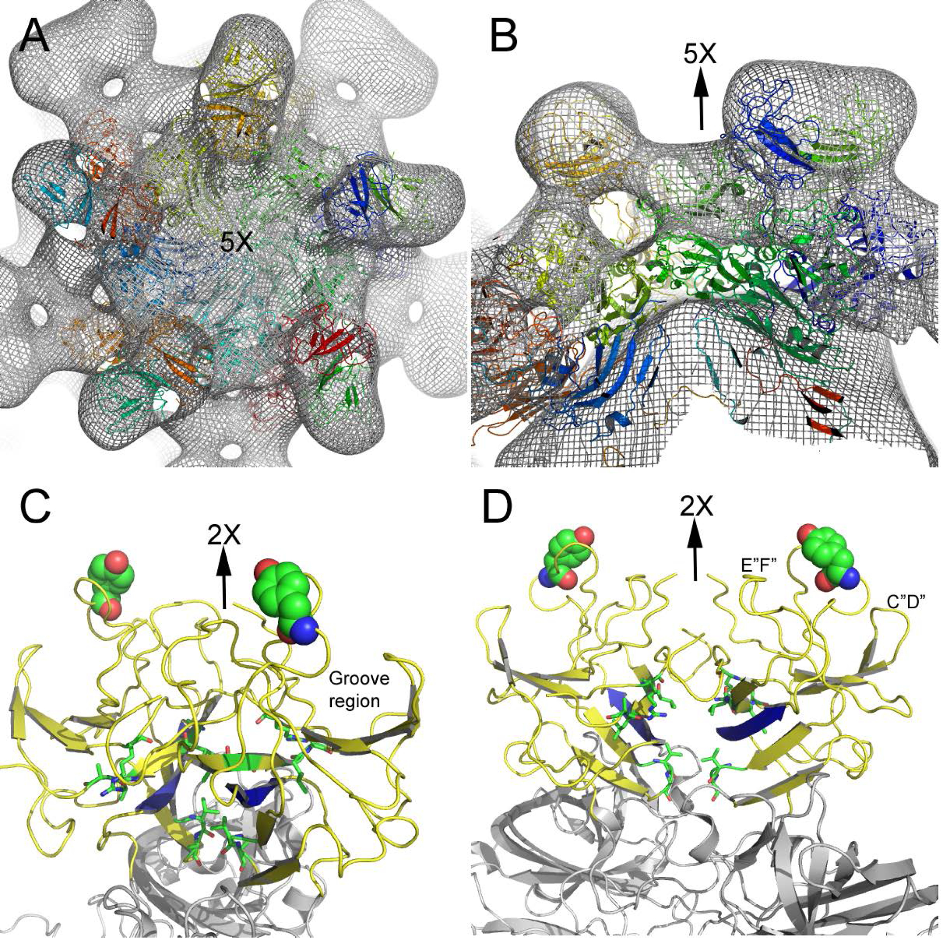 Figure 4