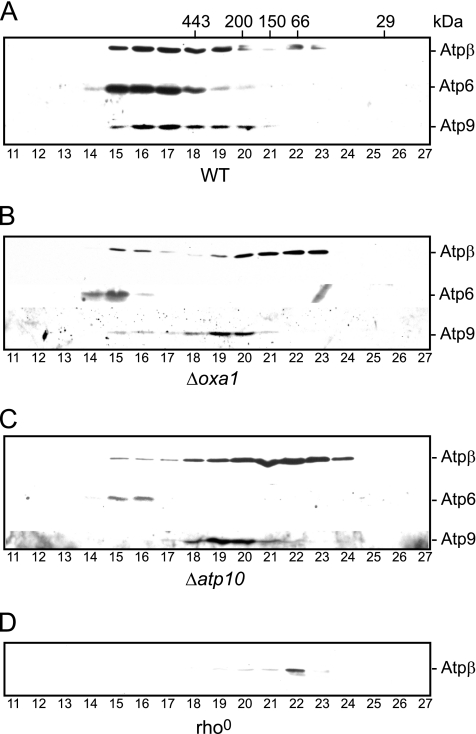 Figure 3.