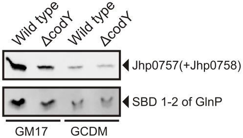 Figure 7