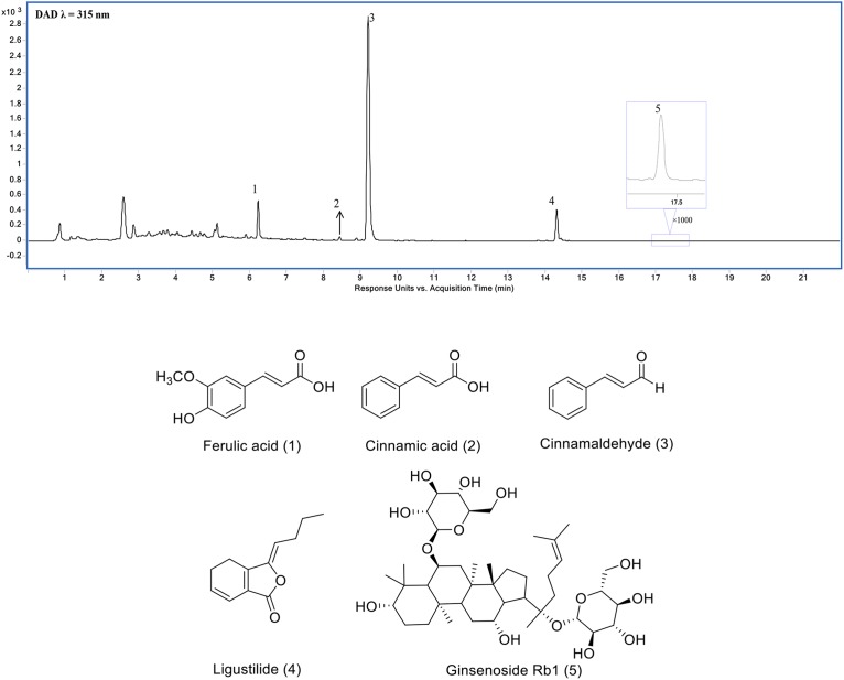 FIGURE 1