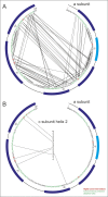 Figure 2—figure supplement 1.