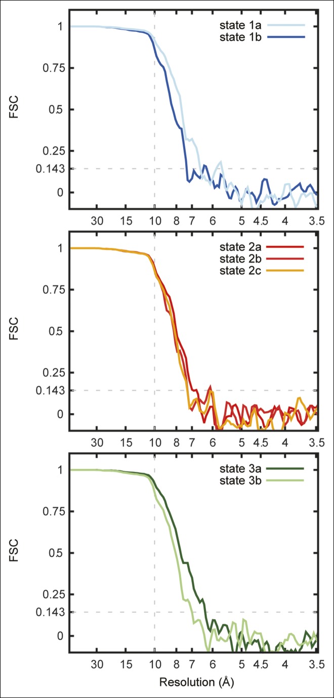 Figure 1—figure supplement 3.