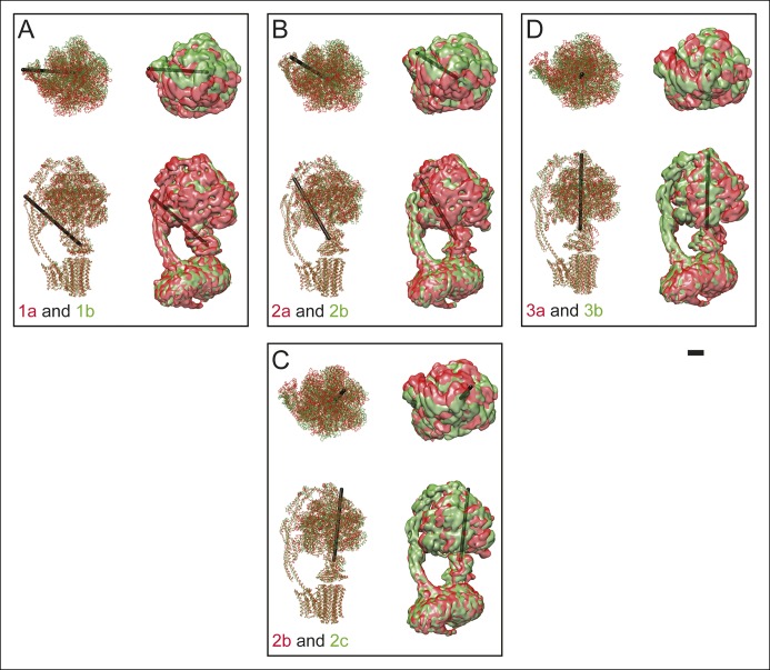 Figure 3—figure supplement 1.