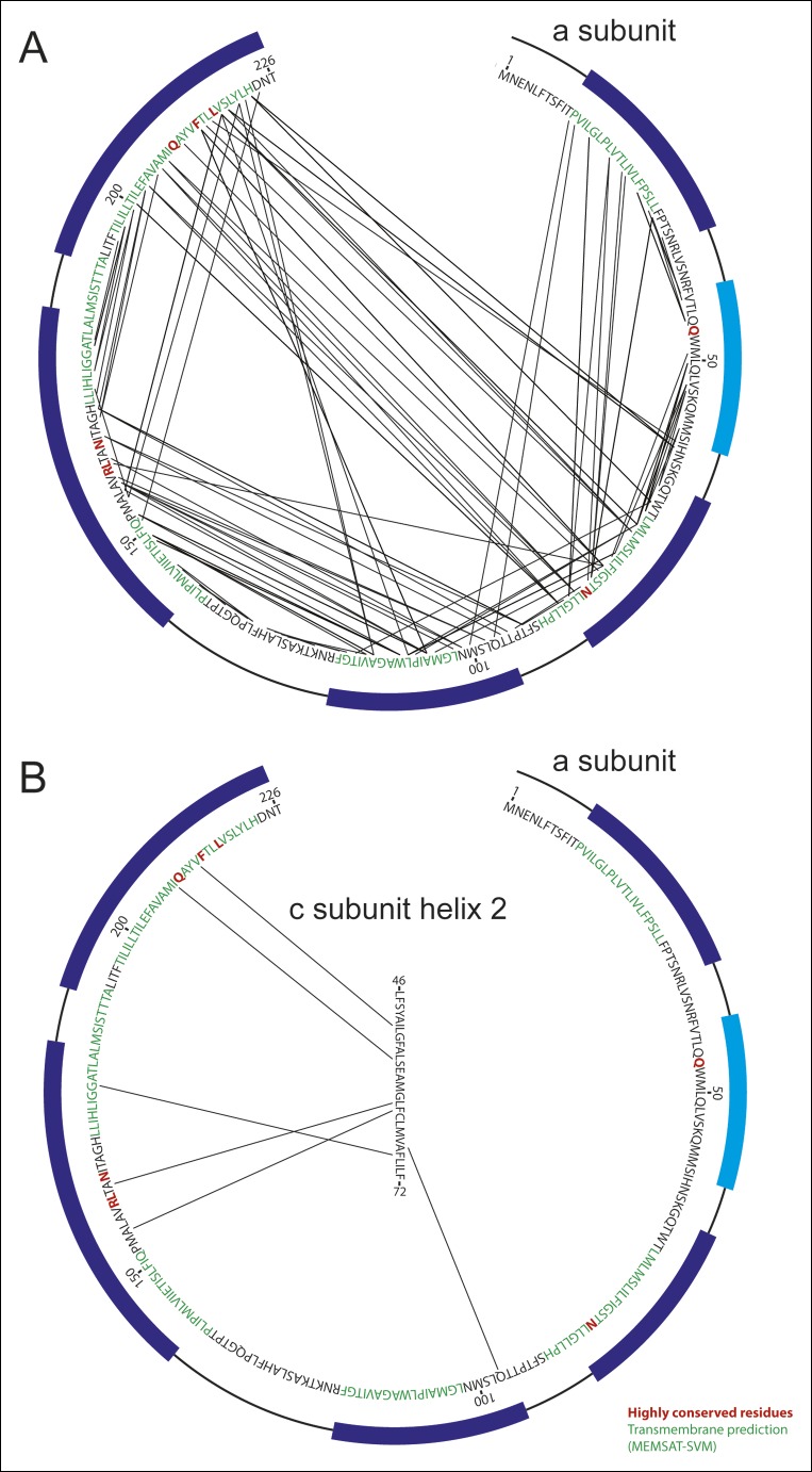 Figure 2—figure supplement 1.