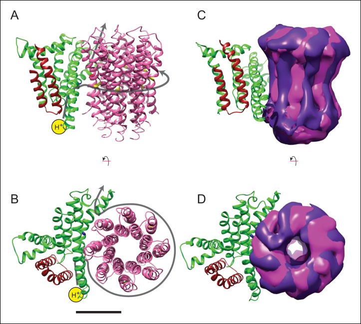 Figure 4.