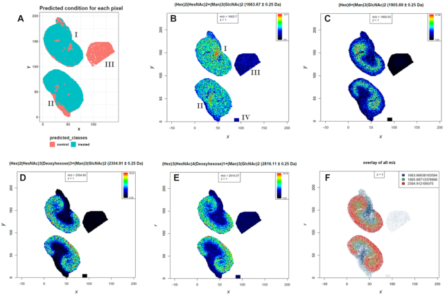 Figure 6: