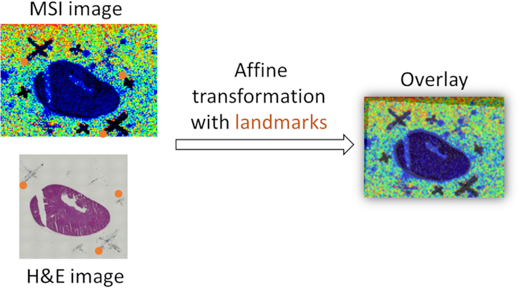 Figure 4: