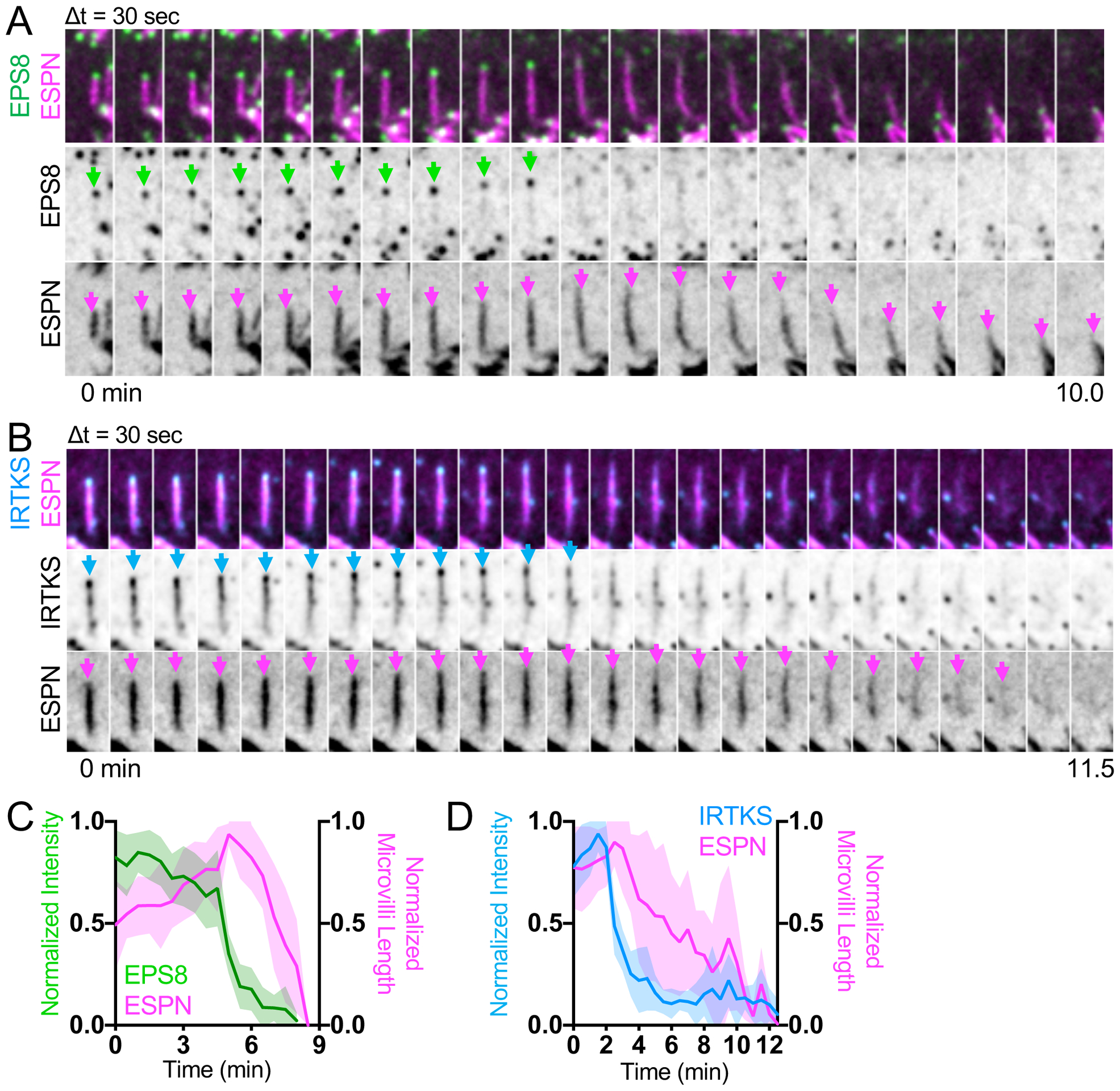 Figure 6.