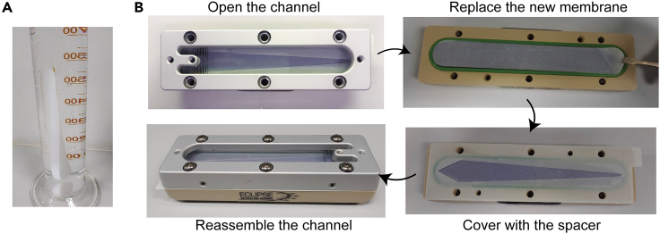 Figure 1