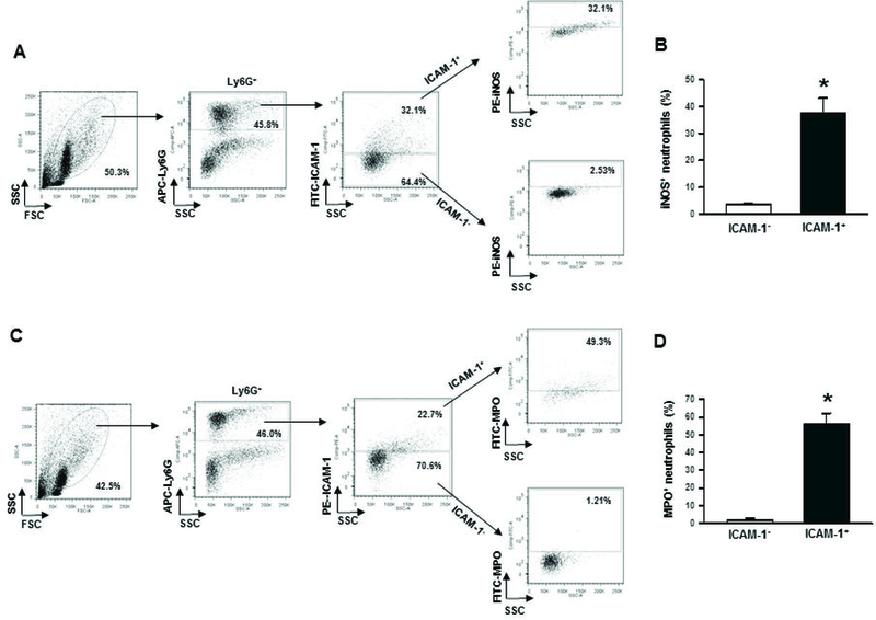 Figure 6: