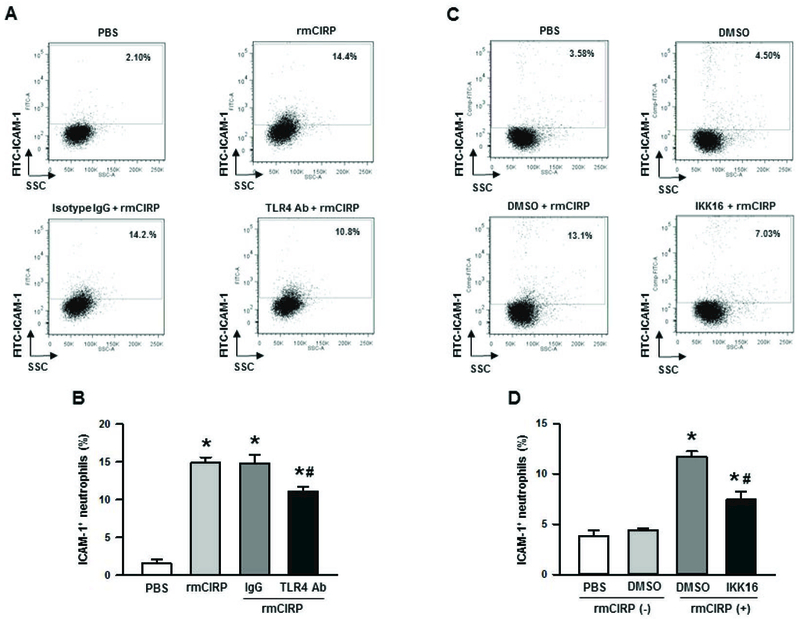 Figure 4: