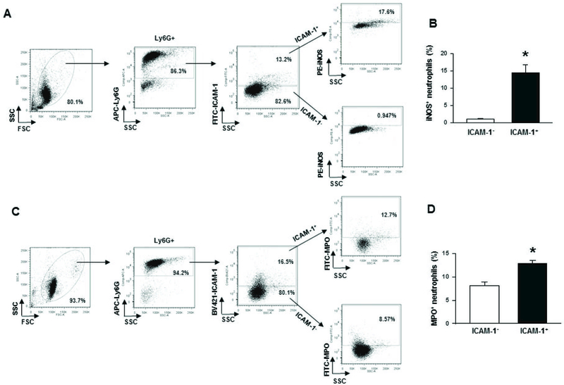 Figure 5: