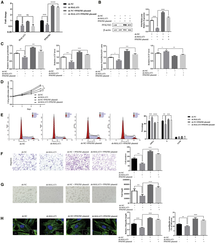 Figure 4