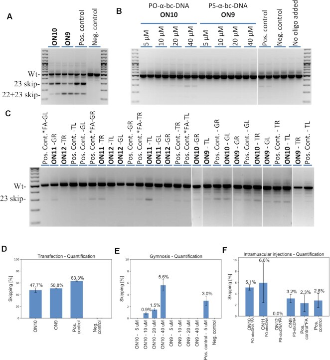 Figure 12.