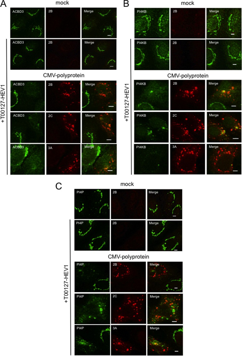 FIG 4