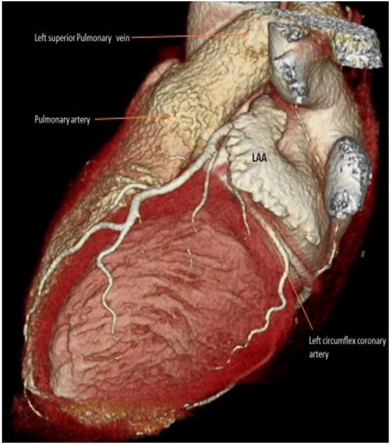 Figure 3.