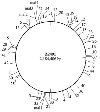 FIG. 4