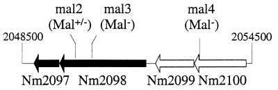 FIG. 5