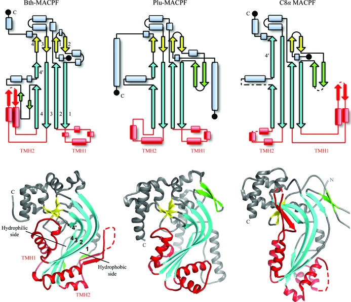 Figure 5