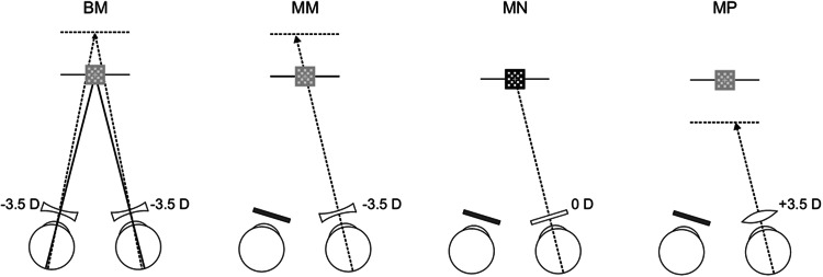 Fig. 1