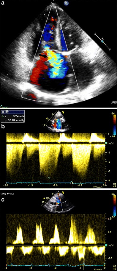 Fig. 7