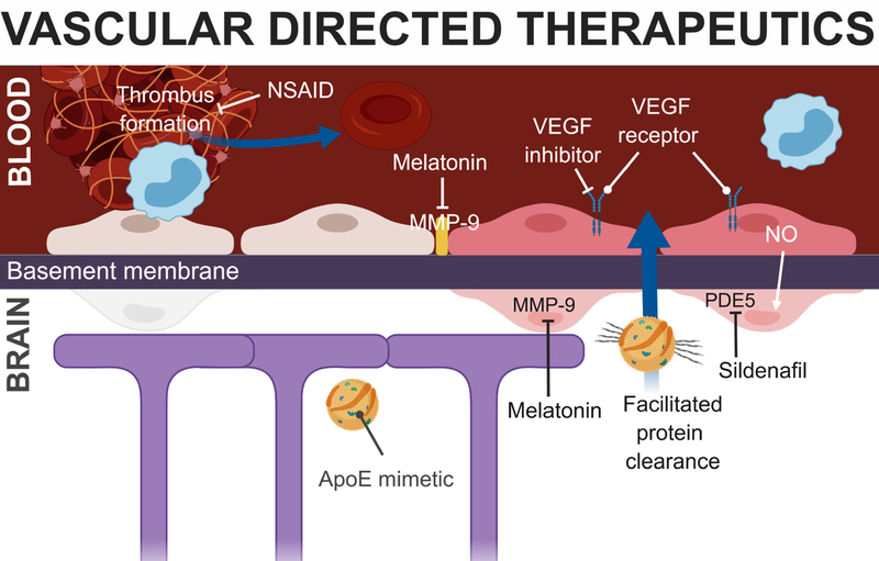 Figure 2: