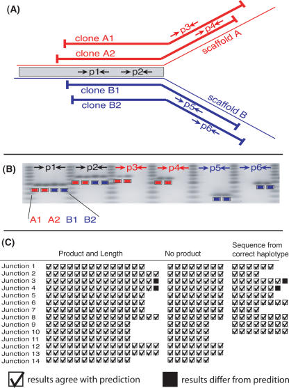 Figure 5.