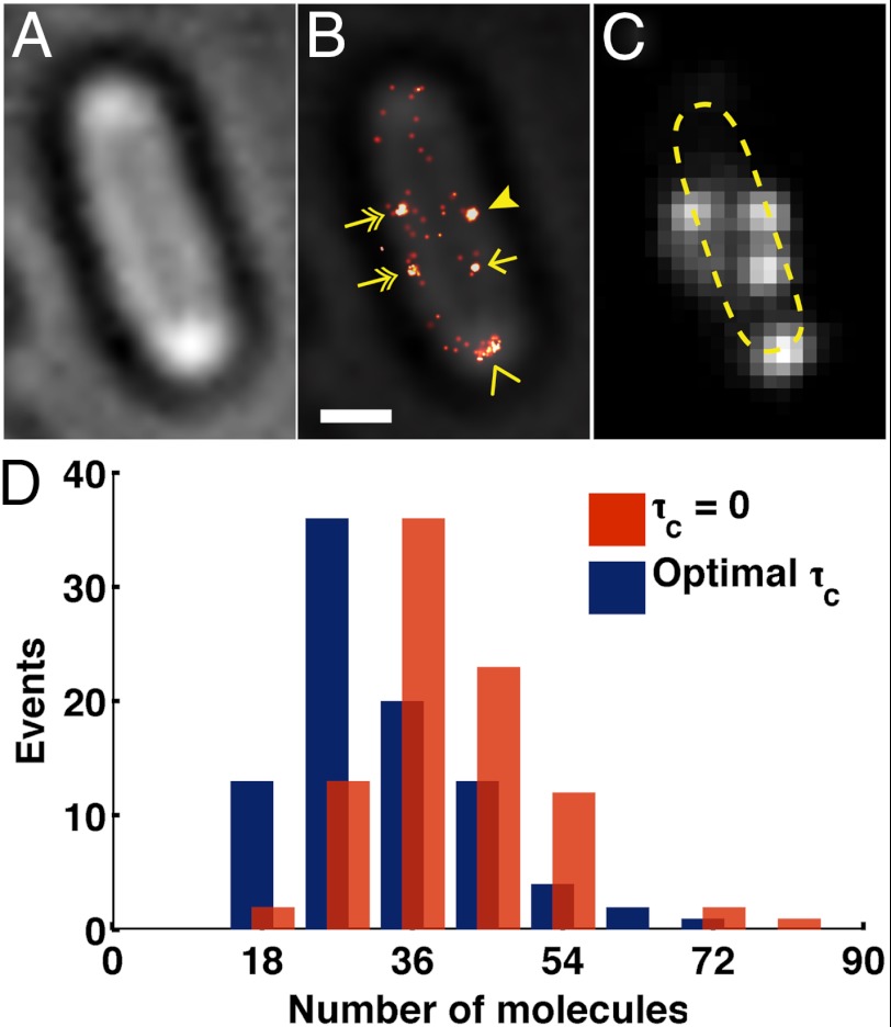 Fig. 6.