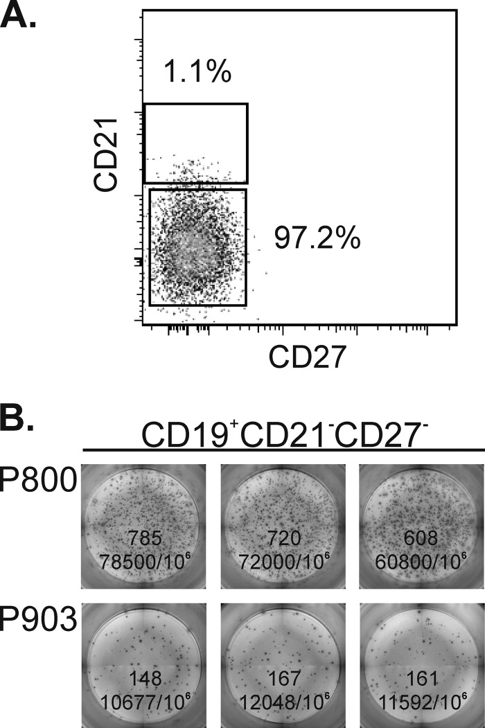 Fig 6