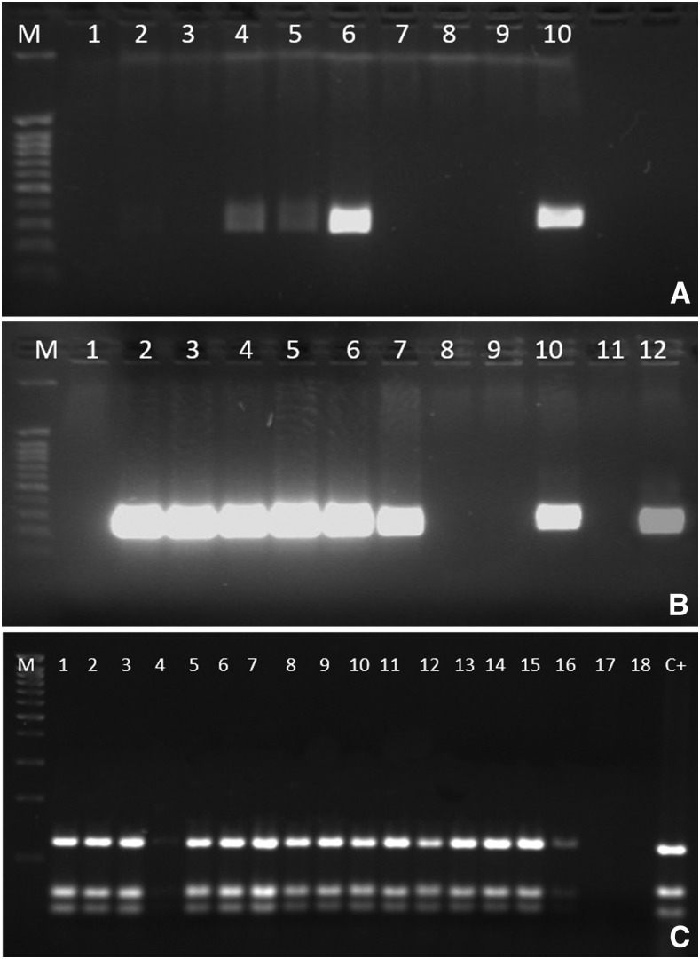 Figure 3.