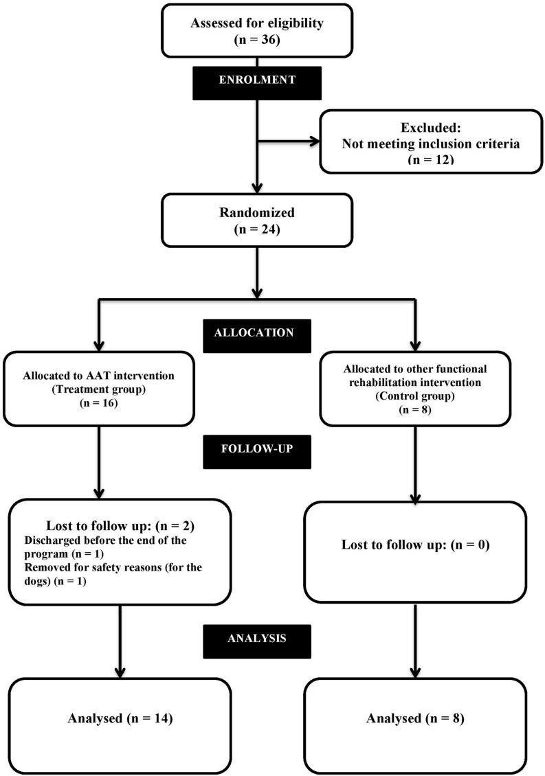 FIGURE 1