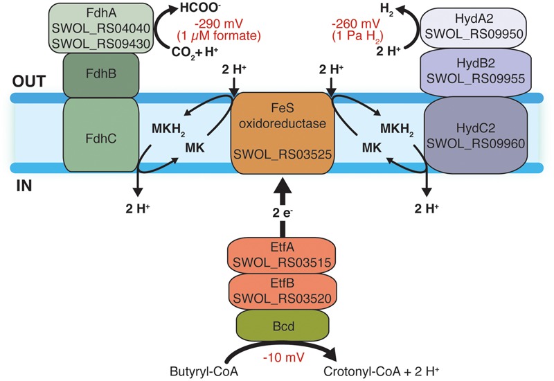 FIGURE 3