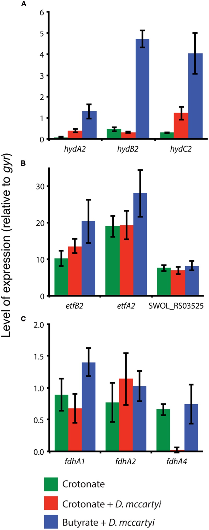 FIGURE 2