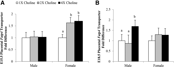 FIGURE 3