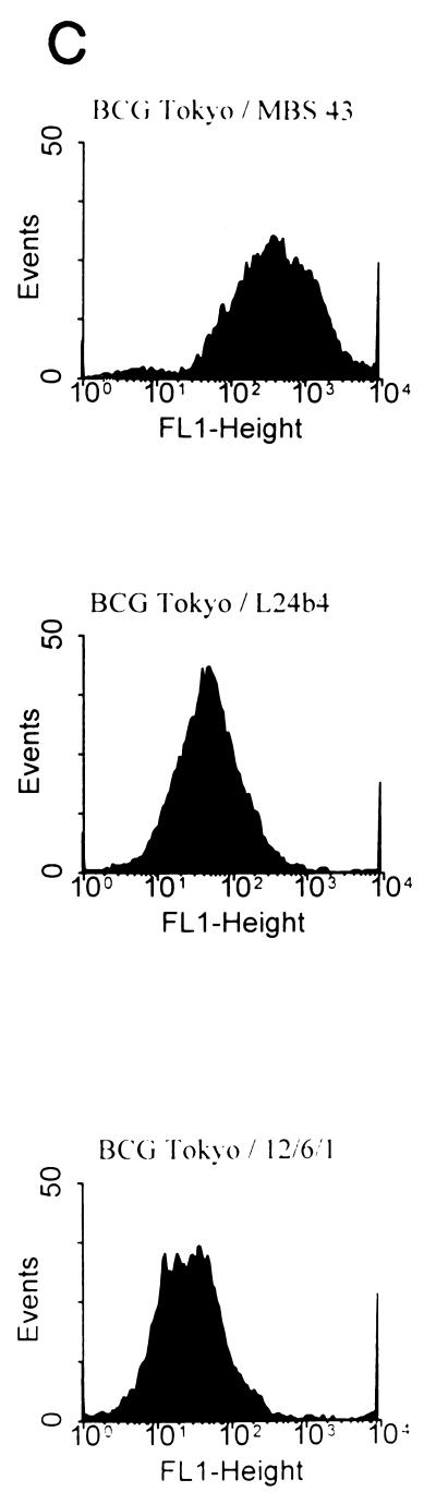FIG. 5