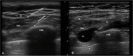 Fig. 7