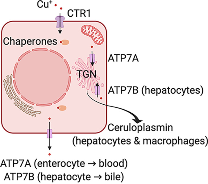 FIG 3