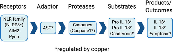 FIG 4