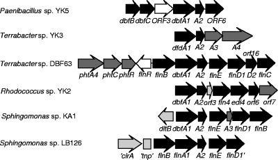 FIG. 2.